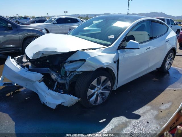 Photo 1 VIN: 7SAYGDEE4PA108062 - TESLA MODEL Y 