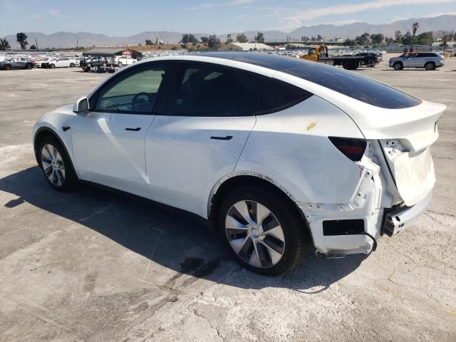 Photo 1 VIN: 7SAYGDEE4PF622593 - TESLA MODEL Y 