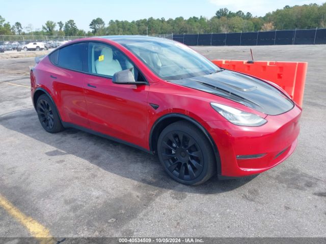 Photo 0 VIN: 7SAYGDEE4PF707613 - TESLA MODEL Y 