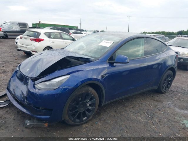 Photo 1 VIN: 7SAYGDEE4PF748114 - TESLA MODEL Y 