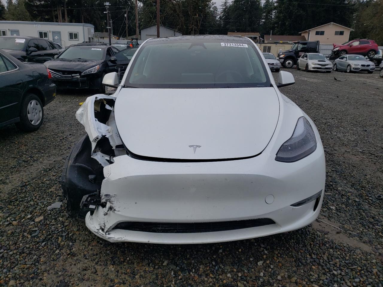 Photo 4 VIN: 7SAYGDEE4PF807212 - TESLA MODEL Y 