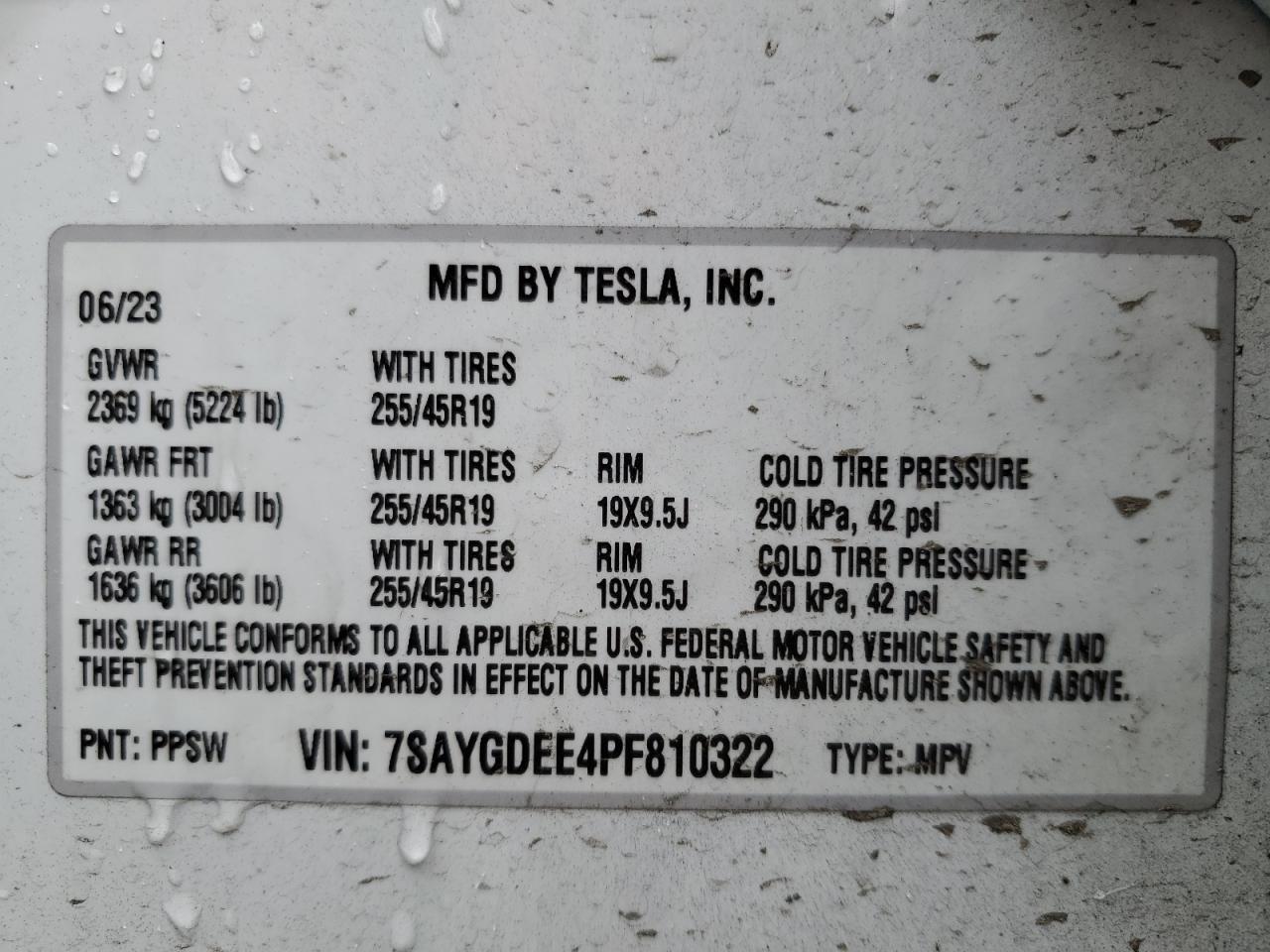 Photo 13 VIN: 7SAYGDEE4PF810322 - TESLA MODEL Y 