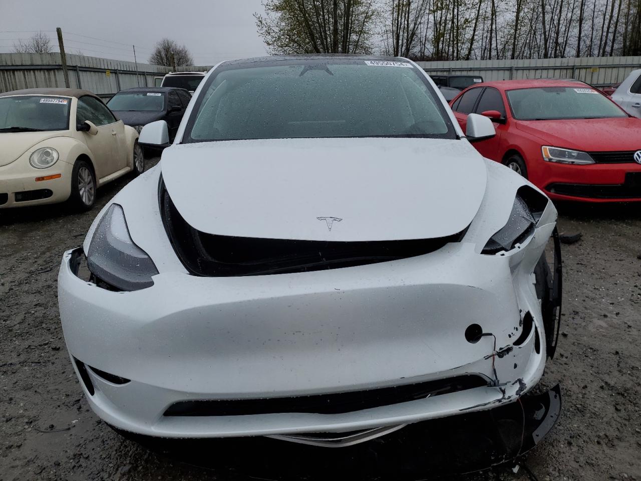 Photo 4 VIN: 7SAYGDEE4PF810322 - TESLA MODEL Y 