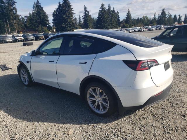 Photo 1 VIN: 7SAYGDEE4PF810742 - TESLA MODEL Y 