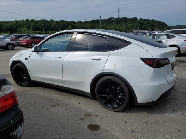 Photo 1 VIN: 7SAYGDEE4PF813141 - TESLA MODEL Y 