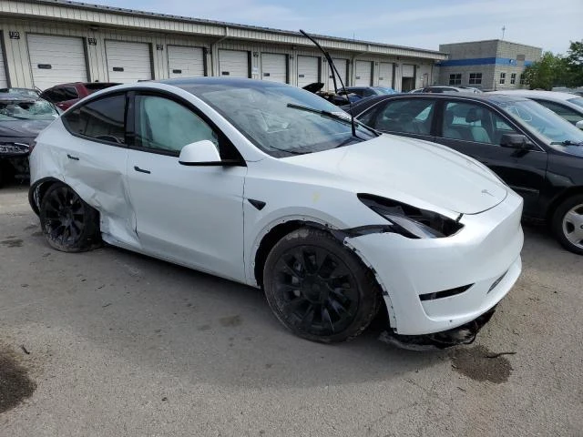 Photo 3 VIN: 7SAYGDEE4PF813141 - TESLA MODEL Y 