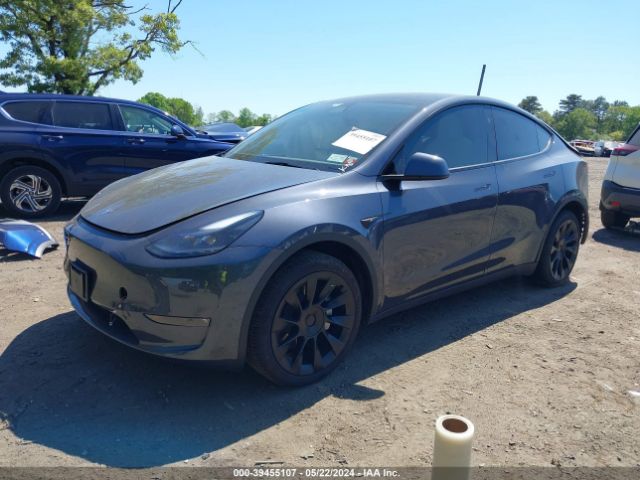 Photo 1 VIN: 7SAYGDEE4PF854949 - TESLA MODEL Y 