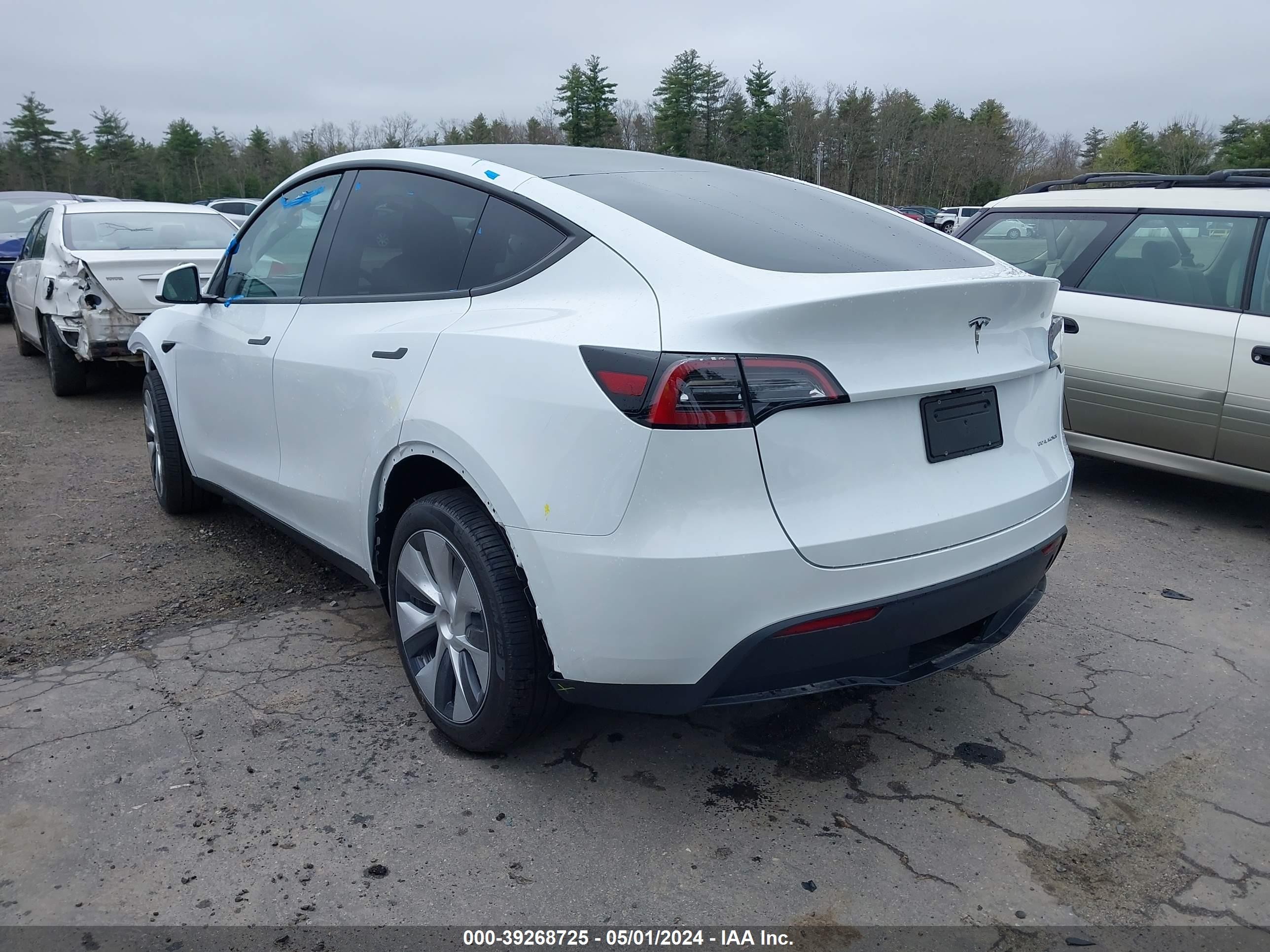 Photo 2 VIN: 7SAYGDEE4RA224882 - TESLA MODEL Y 