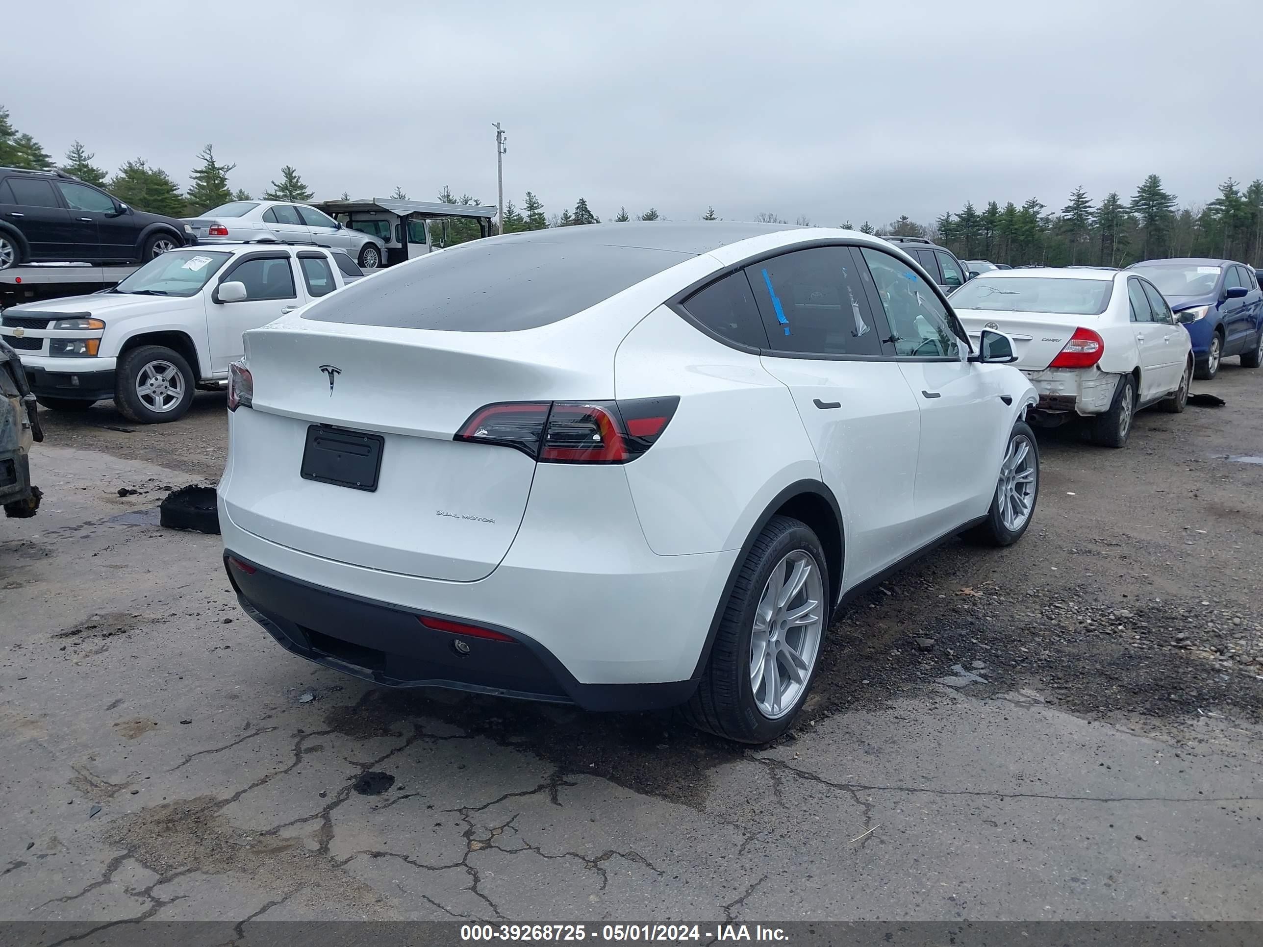 Photo 3 VIN: 7SAYGDEE4RA224882 - TESLA MODEL Y 