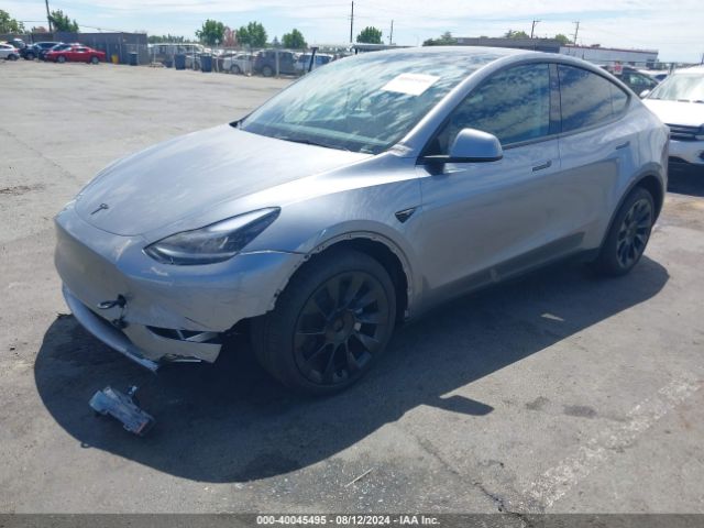 Photo 1 VIN: 7SAYGDEE4RA299825 - TESLA MODEL Y 