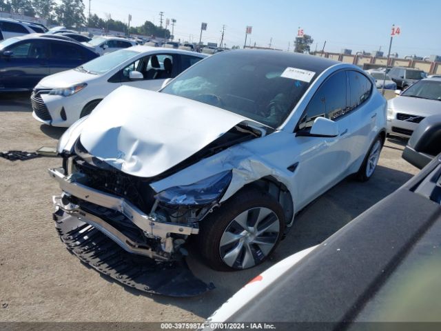 Photo 1 VIN: 7SAYGDEE5NF366199 - TESLA MODEL Y 