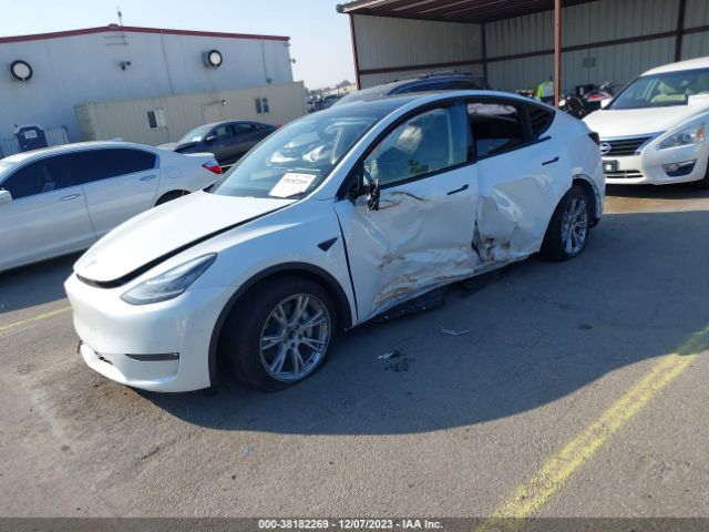 Photo 1 VIN: 7SAYGDEE5NF449860 - TESLA MODEL Y 