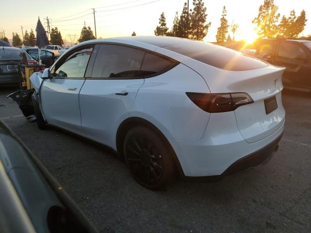 Photo 1 VIN: 7SAYGDEE5NF510057 - TESLA MODEL Y 