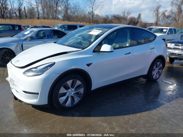 Photo 1 VIN: 7SAYGDEE5PA038359 - TESLA MODEL Y 