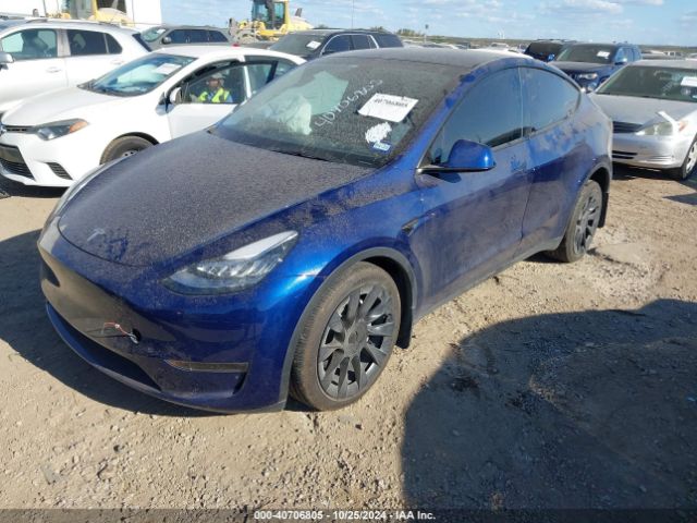 Photo 1 VIN: 7SAYGDEE5PA080952 - TESLA MODEL Y 