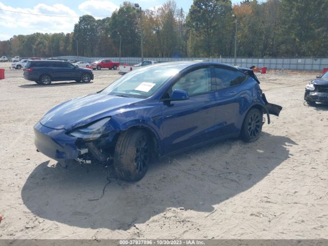 Photo 1 VIN: 7SAYGDEE5PA091501 - TESLA MODEL Y 