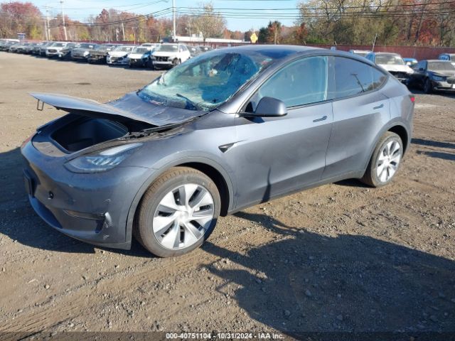 Photo 1 VIN: 7SAYGDEE5PA106501 - TESLA MODEL Y 