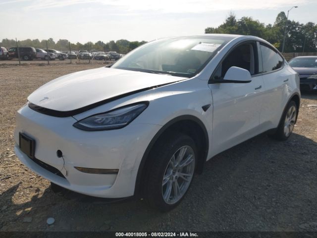 Photo 1 VIN: 7SAYGDEE5PA124495 - TESLA MODEL Y 