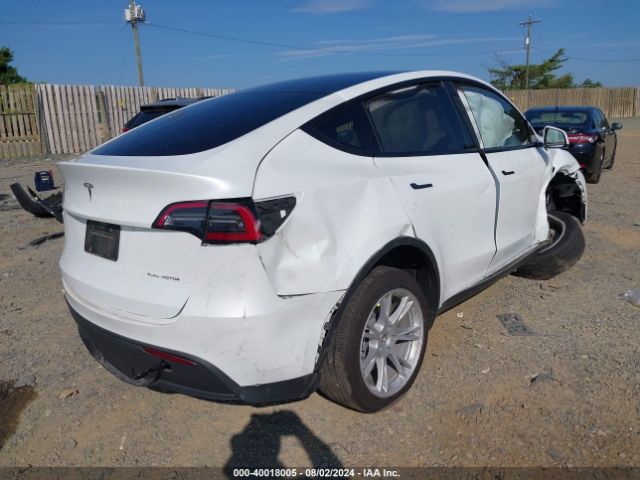 Photo 3 VIN: 7SAYGDEE5PA124495 - TESLA MODEL Y 