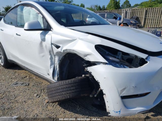 Photo 5 VIN: 7SAYGDEE5PA124495 - TESLA MODEL Y 