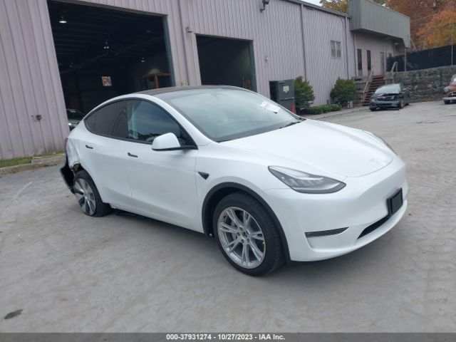 Photo 0 VIN: 7SAYGDEE5PA145721 - TESLA MODEL Y 