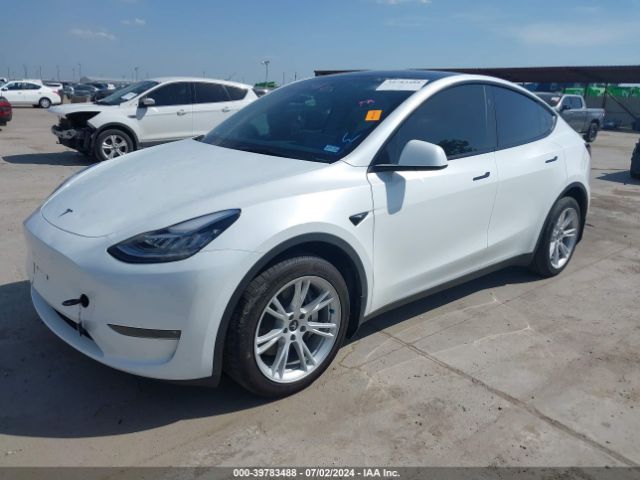 Photo 1 VIN: 7SAYGDEE5PA147002 - TESLA MODEL Y 