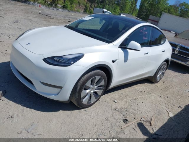 Photo 1 VIN: 7SAYGDEE5PA161854 - TESLA MODEL Y 