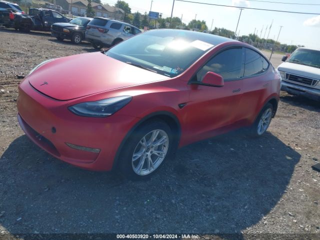 Photo 1 VIN: 7SAYGDEE5PF663783 - TESLA MODEL Y 