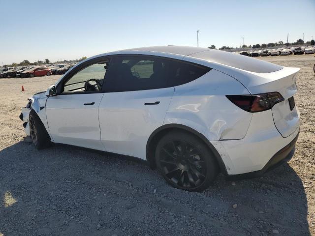 Photo 1 VIN: 7SAYGDEE5PF748736 - TESLA MODEL Y 