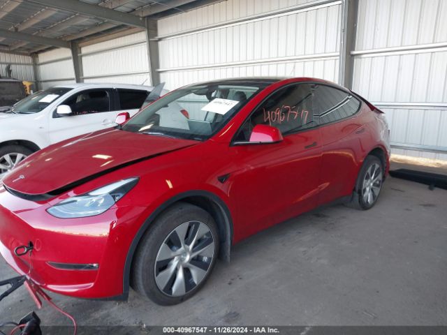 Photo 1 VIN: 7SAYGDEE5PF839148 - TESLA MODEL Y 