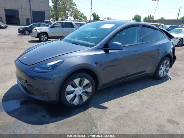 Photo 1 VIN: 7SAYGDEE5PF900899 - TESLA MODEL Y 