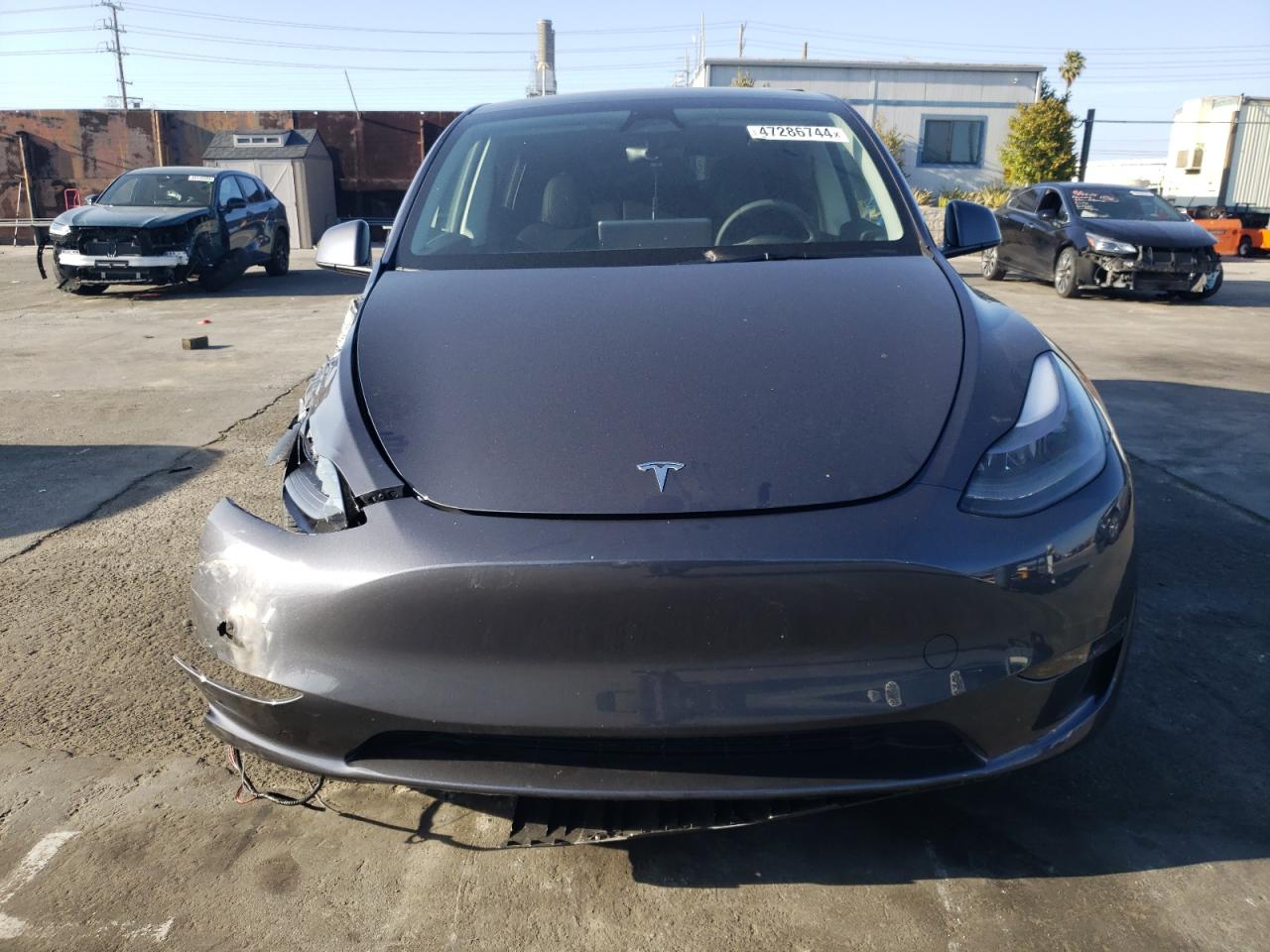 Photo 4 VIN: 7SAYGDEE5PF928010 - TESLA MODEL Y 