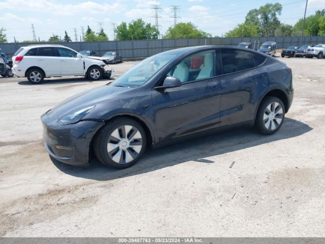 Photo 1 VIN: 7SAYGDEE5RA229539 - TESLA MODEL Y 