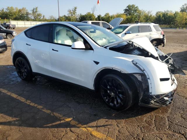 Photo 3 VIN: 7SAYGDEE5RA259222 - TESLA MODEL Y 