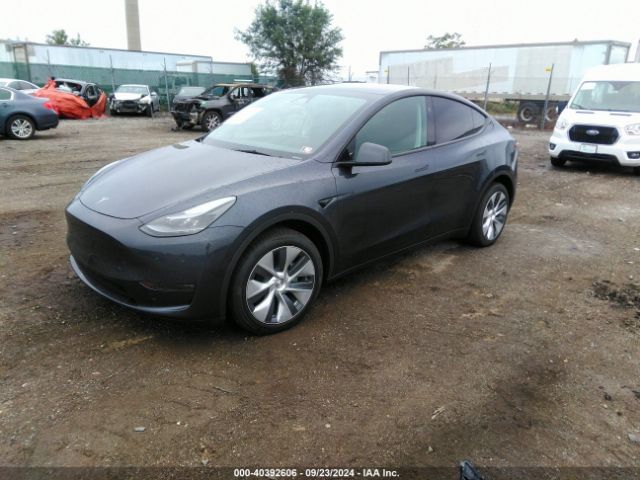 Photo 1 VIN: 7SAYGDEE5RA274514 - TESLA MODEL Y 