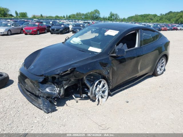 Photo 1 VIN: 7SAYGDEE5RA282449 - TESLA MODEL Y 