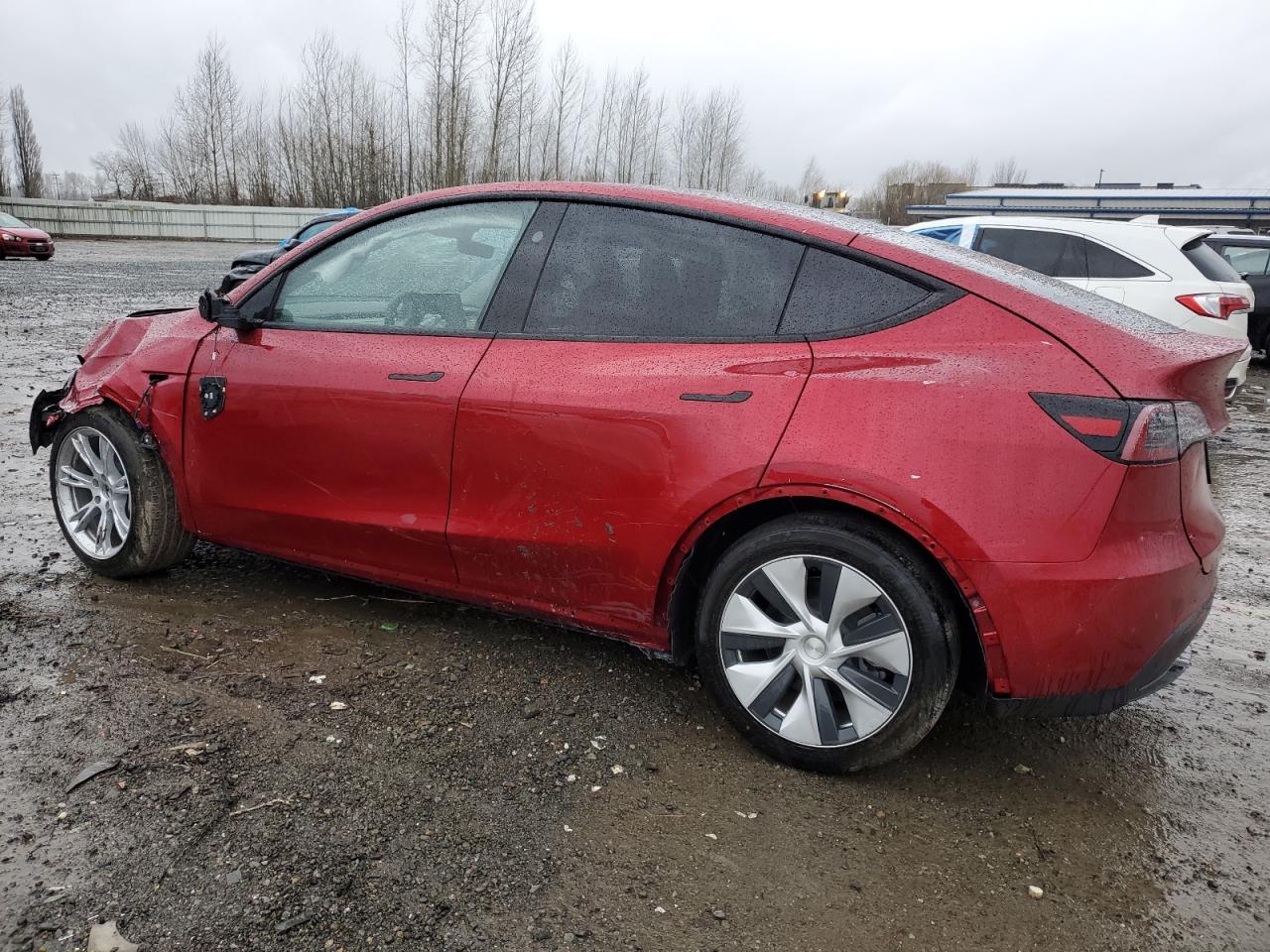 Photo 1 VIN: 7SAYGDEE5RF013886 - TESLA MODEL Y 