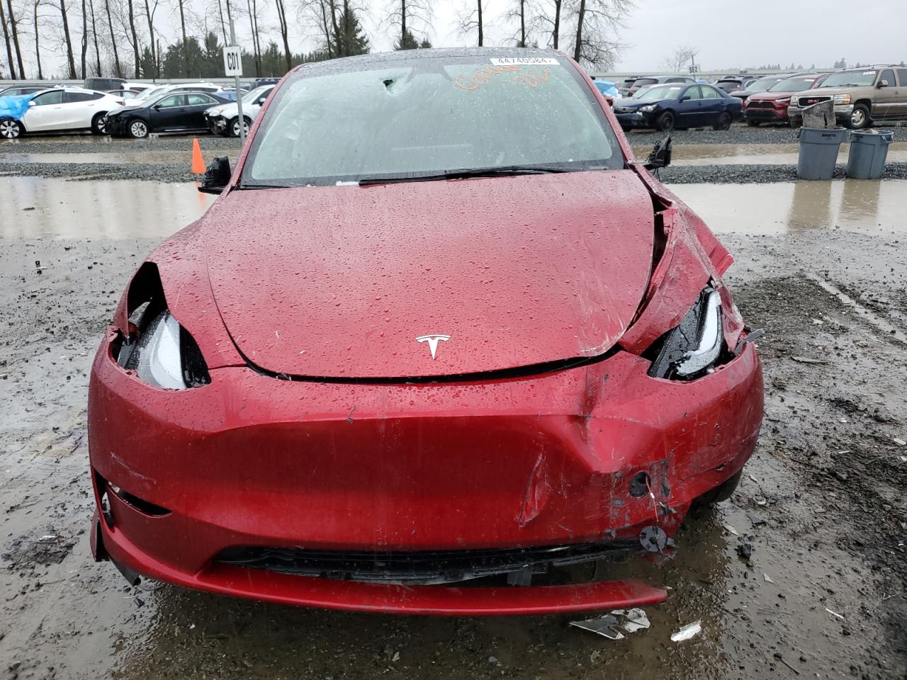 Photo 4 VIN: 7SAYGDEE5RF013886 - TESLA MODEL Y 