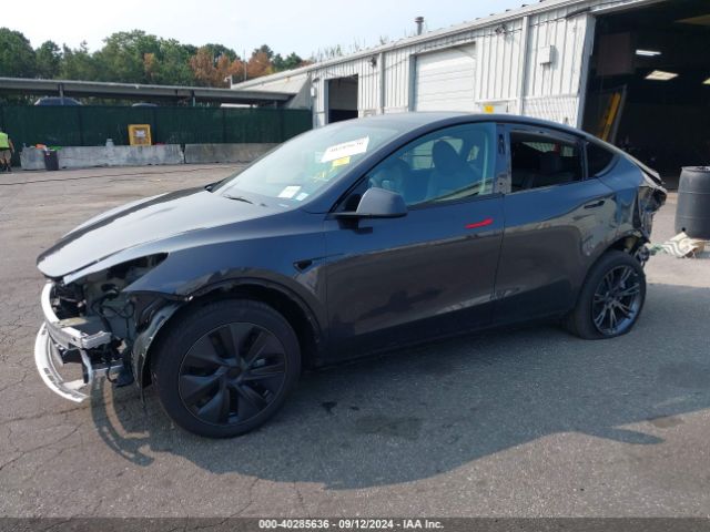 Photo 1 VIN: 7SAYGDEE5RF132229 - TESLA MODEL Y 