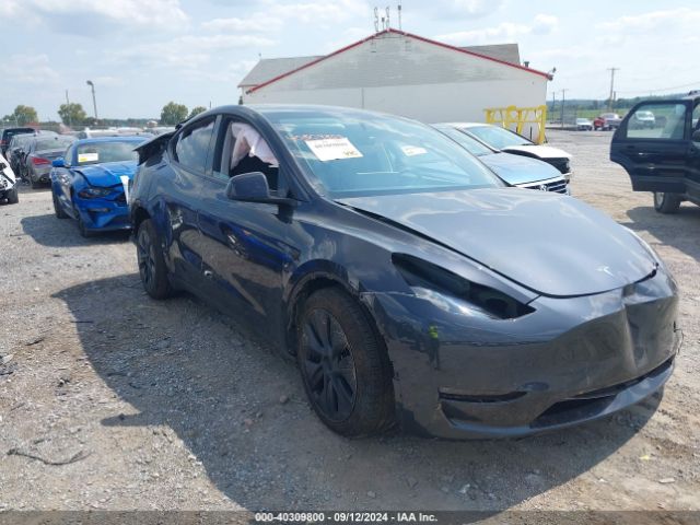 Photo 0 VIN: 7SAYGDEE5RF153694 - TESLA MODEL Y 