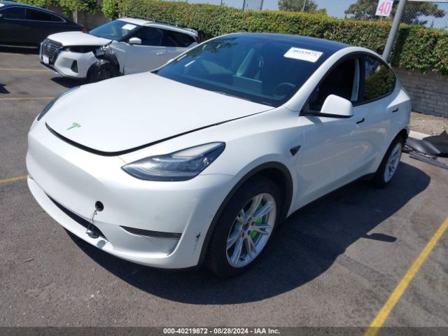 Photo 1 VIN: 7SAYGDEE6NF362890 - TESLA MODEL Y 