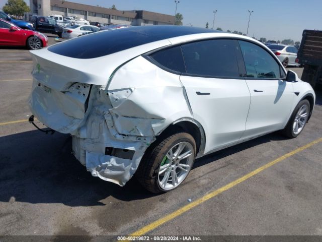 Photo 3 VIN: 7SAYGDEE6NF362890 - TESLA MODEL Y 