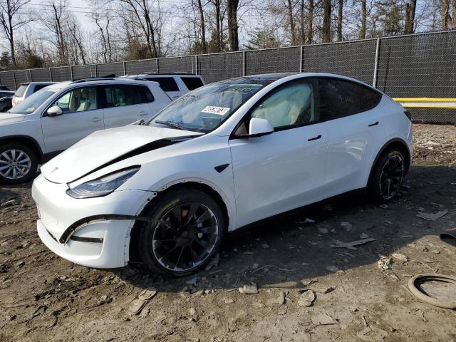 Photo 0 VIN: 7SAYGDEE6NF385876 - TESLA MODEL Y 