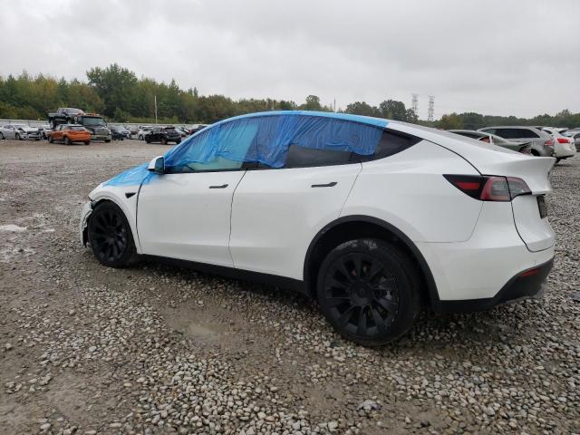 Photo 1 VIN: 7SAYGDEE6NF442416 - TESLA MODEL Y 