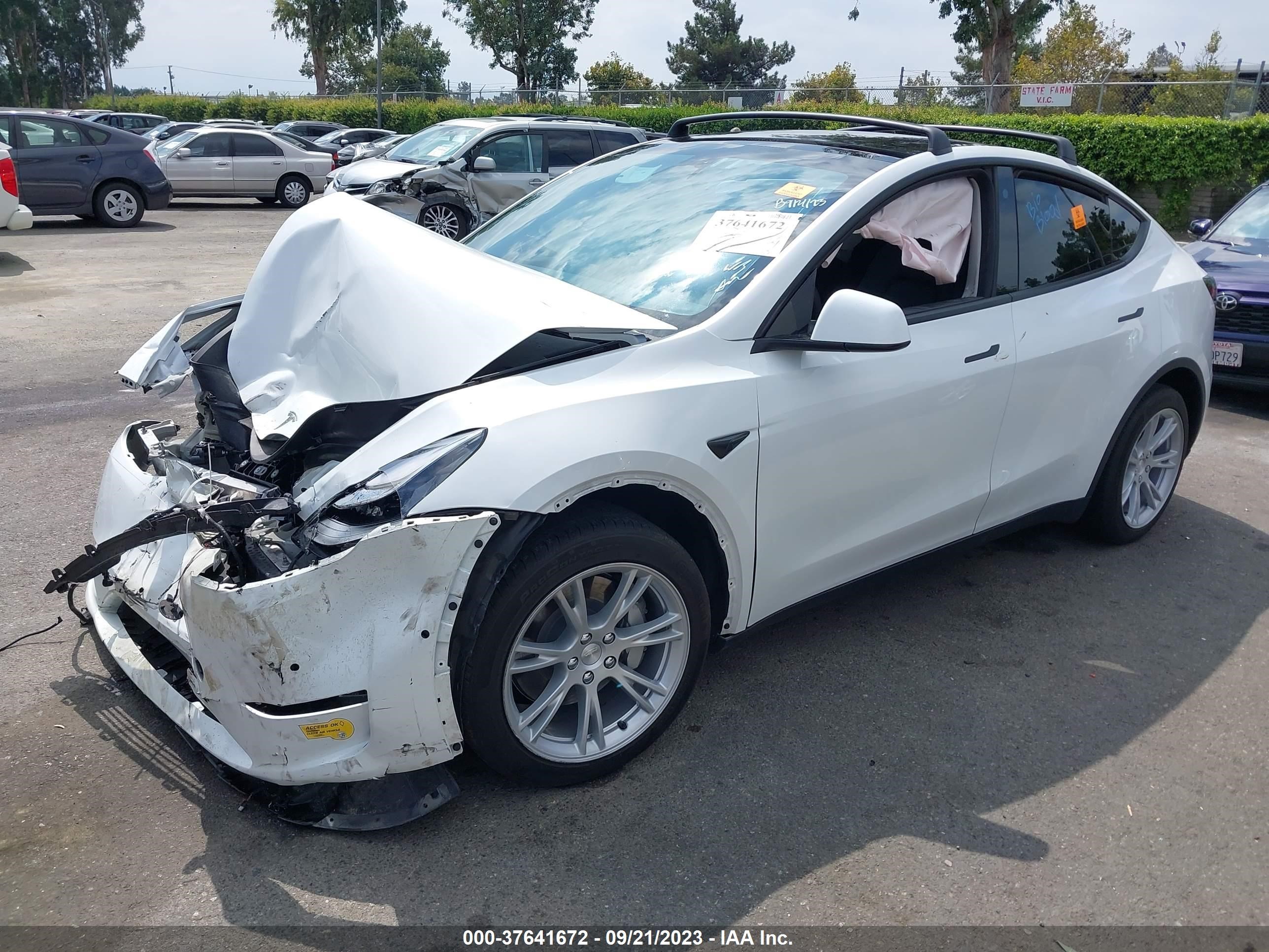 Photo 1 VIN: 7SAYGDEE6NF491518 - TESLA MODEL Y 