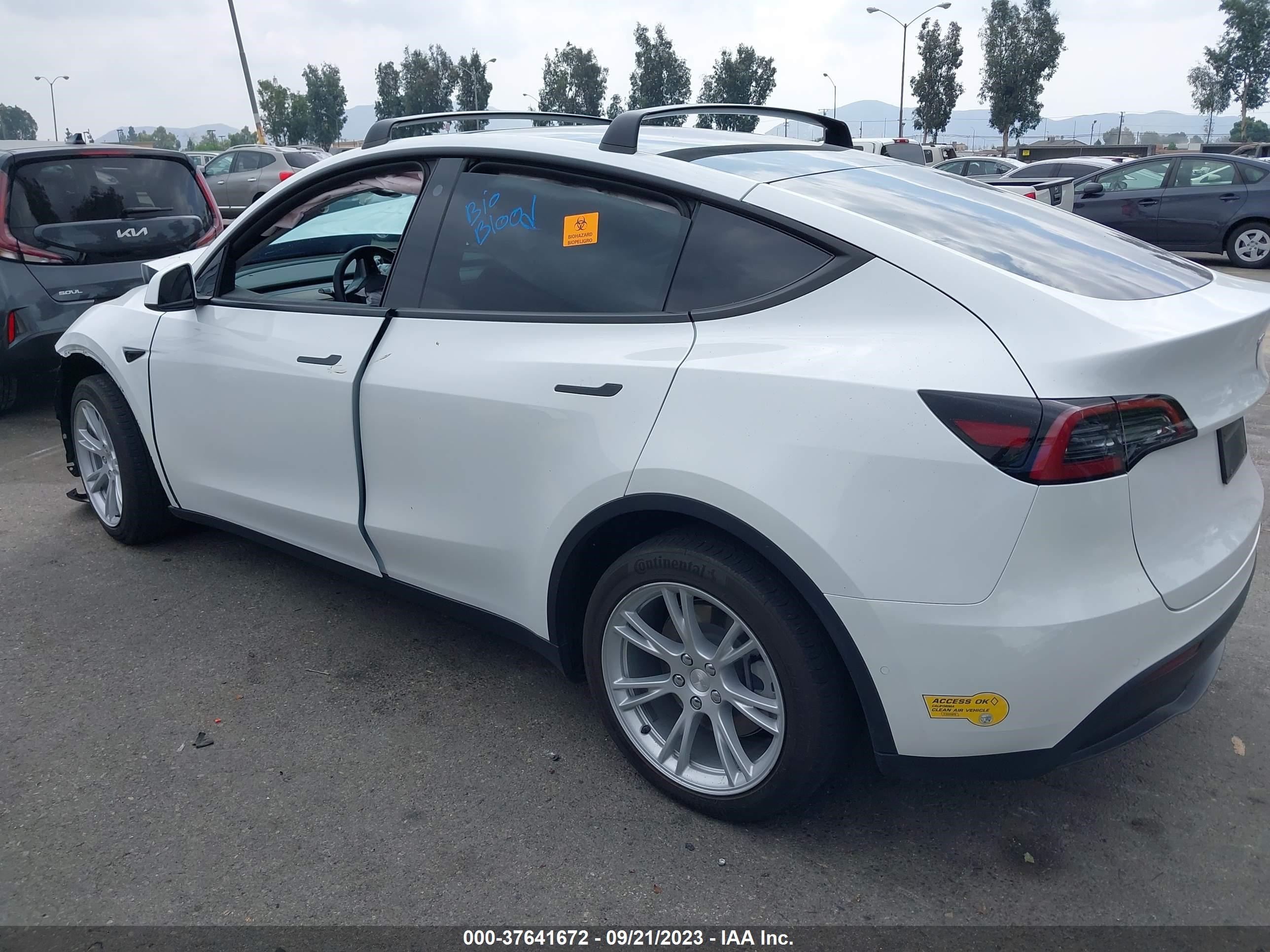 Photo 13 VIN: 7SAYGDEE6NF491518 - TESLA MODEL Y 