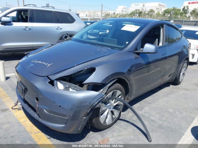 Photo 1 VIN: 7SAYGDEE6NF560062 - TESLA MODEL Y 