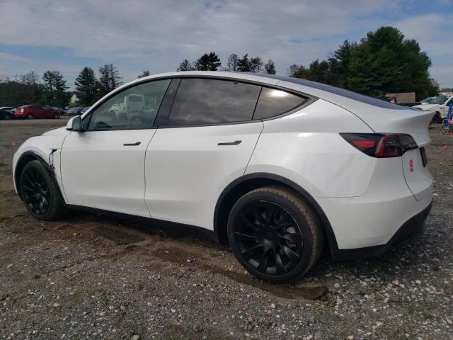 Photo 1 VIN: 7SAYGDEE6PA148420 - TESLA MODEL Y 