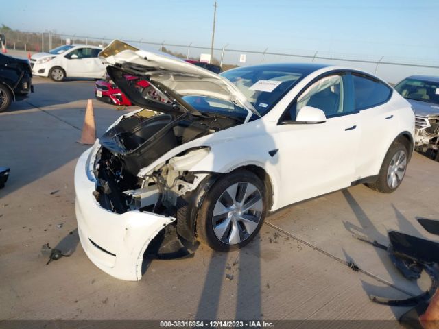 Photo 1 VIN: 7SAYGDEE6PA148515 - TESLA MODEL Y 