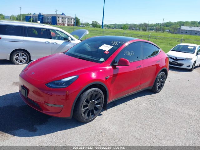 Photo 1 VIN: 7SAYGDEE6PA206512 - TESLA MODEL Y 